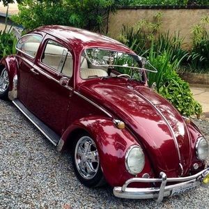 Meet your Posher, Henry