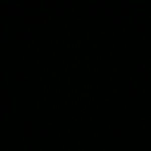 Meet your Posher, Malorie