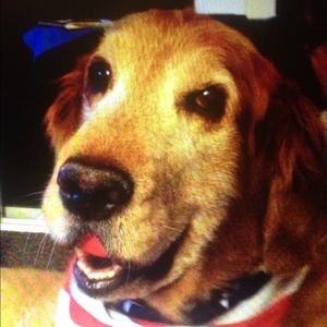 Meet your Posher, Richard