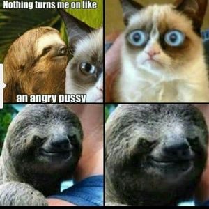 Meet your Posher, Matt