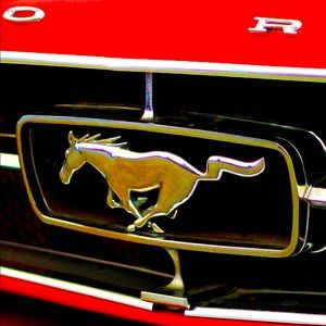 Meet your Posher, Heidi