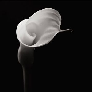 Meet your Posher, Shelina