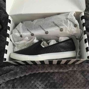 Chase & Chloe Slides