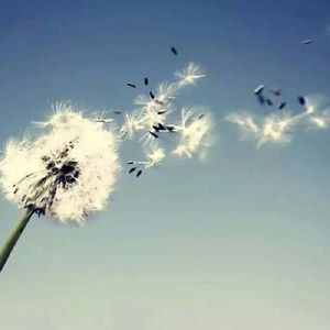 Meet your Posher, Donitta