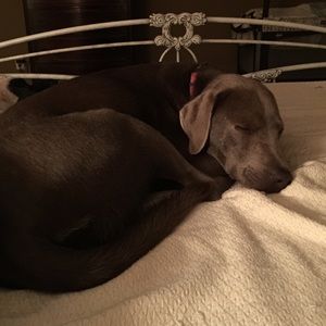 Meet your Posher, Gretchen