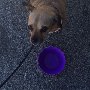 Meet your Posher, Grace