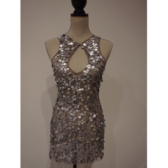 Silver Sparkly Fitted Dress