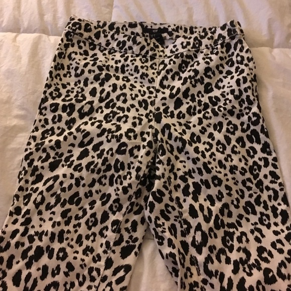 Cheetah trousers - Picture 4 of 5