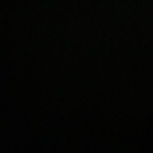 Meet your Posher, Selena