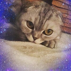 Meet your Posher, Briana