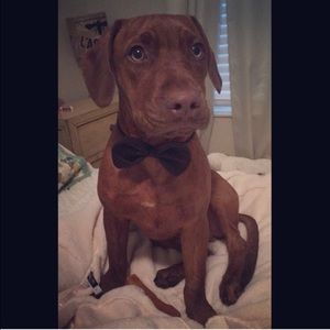 Meet your Posher, Jenna