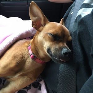 Meet your Posher, Adrienne