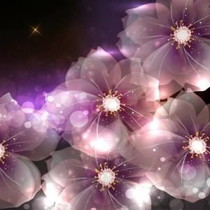 Meet your Posher, Katrin