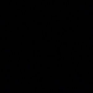 Meet your Posher, Mia