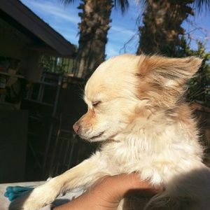 Meet your Posher, Irvin