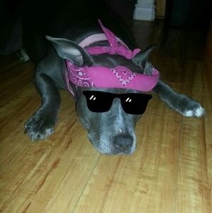 Meet your Posher, Brenda