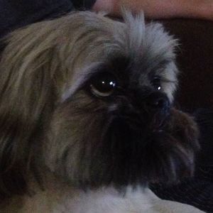 Meet your Posher, Caroline