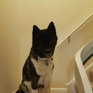 Meet your Posher, Juanita