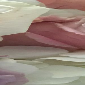 Meet your Posher, Janae