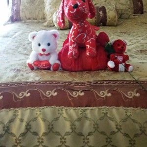 Meet your Posher, Darnetta