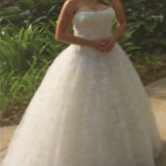 Quinceñera/ Sweet 16 dress