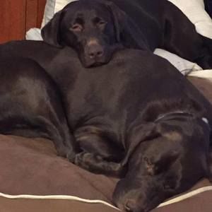 Meet your Posher, Carrie