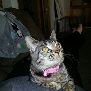 Meet your Posher, Stephanie