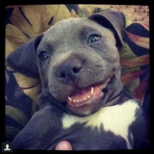 Meet your Posher, Joan