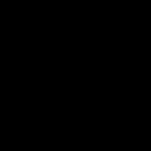 Meet your Posher, Chela