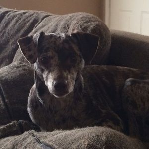 Meet your Posher, Shannon