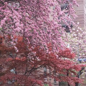 Meet your Posher, Pauline