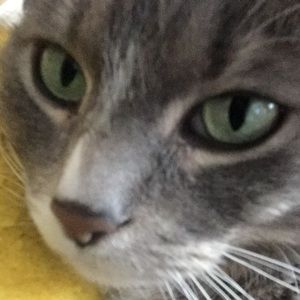 Meet your Posher, Kerri