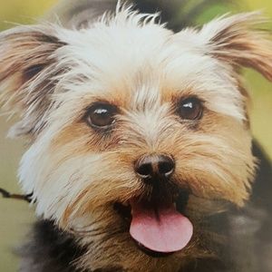 Meet your Posher, Tia