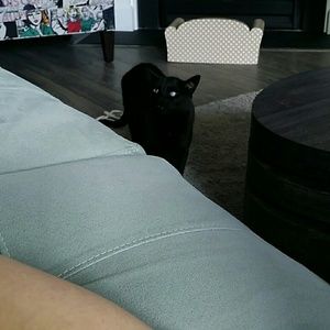 Meet your Posher, Tracy