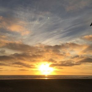 Meet your Posher, Ileana