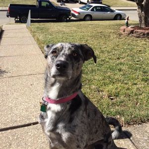 Meet your Posher, Cheri