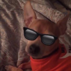 Meet your Posher, Glenn