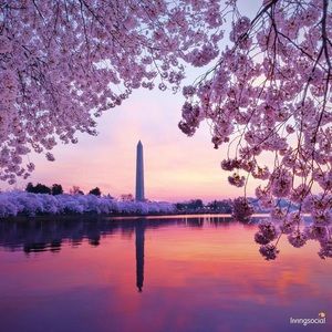 Meet your Posher, Kelly casey