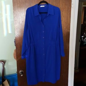 Blue Shirt Dress