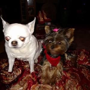 Meet your Posher, Lorraine