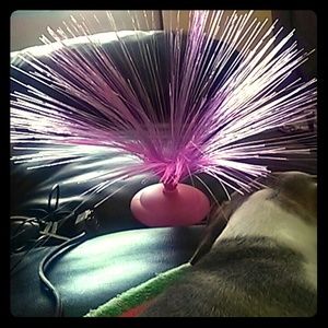 A battery powered pink lamp