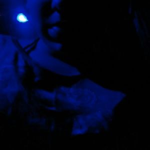 Meet your Posher, Kiana