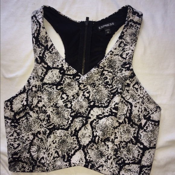 Haltered V-Neck Crop Top