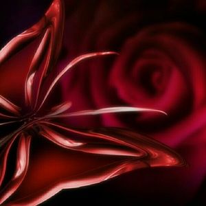 Meet your Posher, Mayra