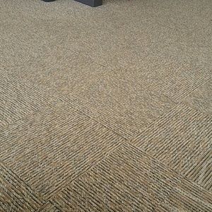 Meet your Posher, Rosa