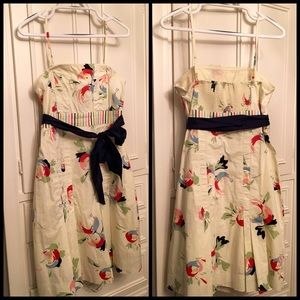 Maeve dress from Anthropologie