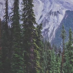 Meet your Posher, Eliz