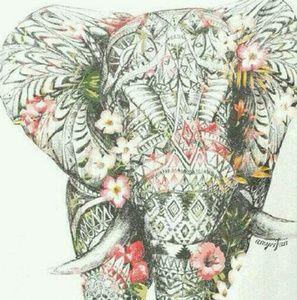 Meet your Posher, Thamara