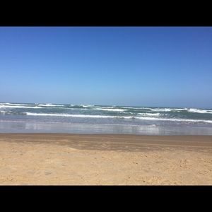 Meet your Posher, Irene