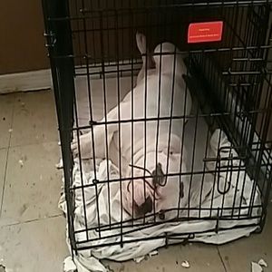 Meet your Posher, Hilda